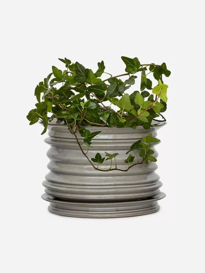 Vaso per piante in ceramica Vaso per piante in ceramica