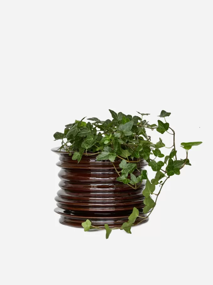 Vaso per piante in ceramica Vaso per piante in ceramica